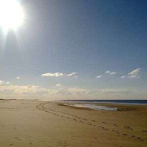 nc450 holkham beach sunlight XH