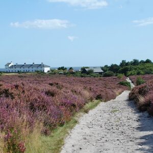 sc450 Dunwich heath path