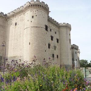 fp450 palais des papes avignon gl