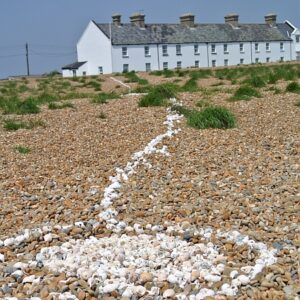 Shingle Street Shell Line Suffolk