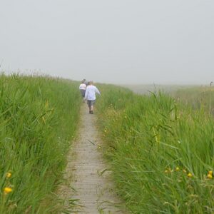 sc450 Walberswick by river boardwalk