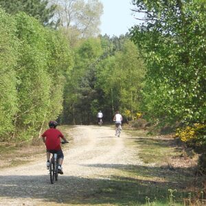 si450 rendlesham forest bikers1