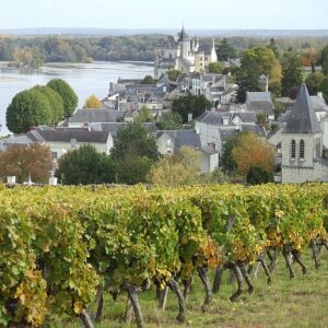 fl450 montsoreau vineyardsLVT