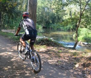 s450 cata viaverde by river woods cyclist