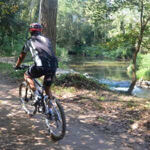 s450 cata viaverde by river woods cyclist