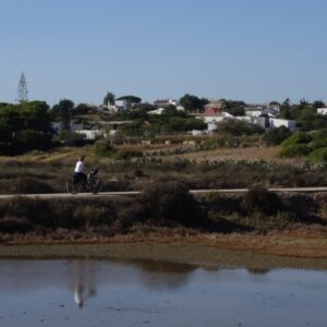 p450 al faro2tavira heath village