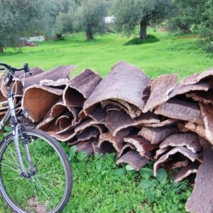 p450 al bike cork bark pile ms