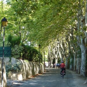 fp450 cycling by plane trees gl