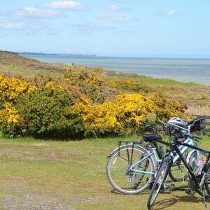 sc450 dunwich heath bikes wide