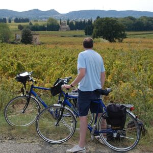 fp450 vineyards looking bike