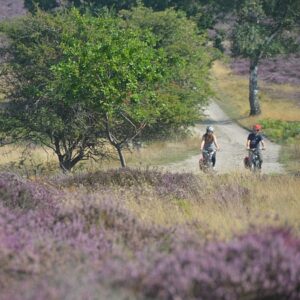 sc450 Dunwich Heath cyclists 2wards2