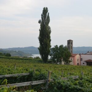 i450 piedmont viverone vines lake campanile