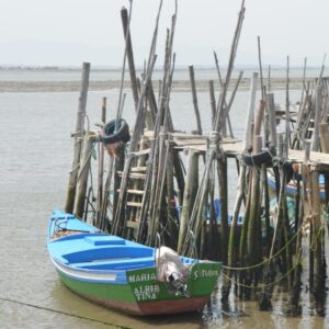 p450 lis south setubal fishing boat