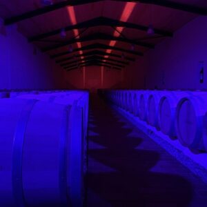 Fabb450 Ch Lamothe Bergeron barrels