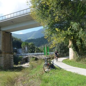 s450 cata viaverde under bridges