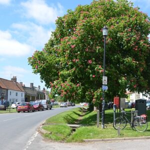 nc450 burnham village green bike