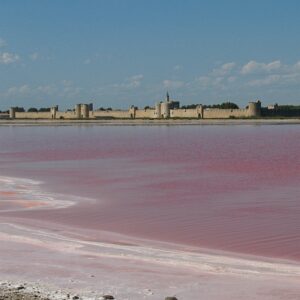 fp450 pink lagoon aigues mortes gl