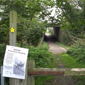 si450 langham walk bridge