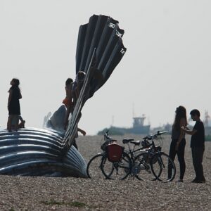 sc450 Aldeburgh scallop cyclists kids