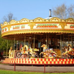 si450 bressingham gallopers BSM