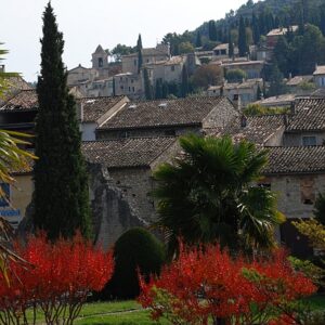 fp450 vaison garden