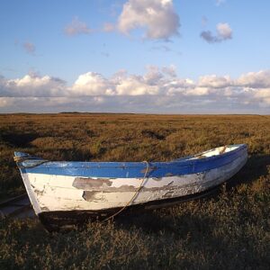 nc450 boat marshlands