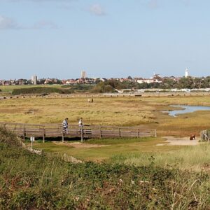 sc450 Walberswick view2 southwold banner