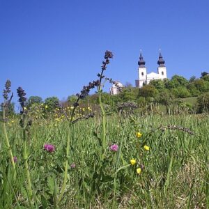 a450 danube meadows church