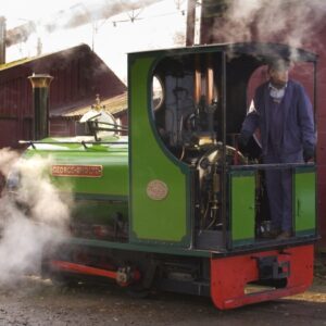 si450 bressingham engine in steam BSM