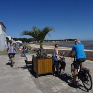 f450 FAQ iledeRe resting
