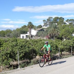s450 val sueca2 valencia orange groves cycling