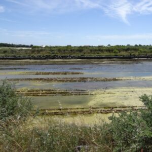 f450 FAQ Rochefort2LaRochelle salt pan