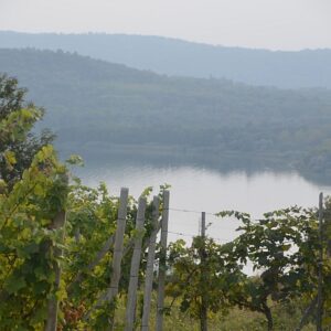 i450 piedmont viverone vineyards lake
