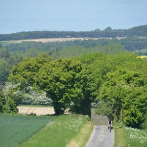 nc450 leafy lanes cycling