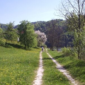 Danube Cycling Holidays along wooded riveside tracks