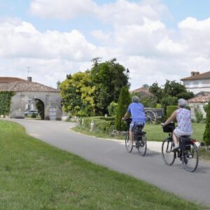 Cycling holidays around Cognac vineyards in France