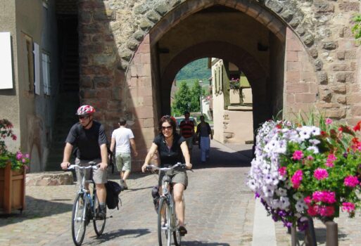 Cycling holidays in Alsace France