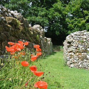 North Elmham Saxon chapel remains Norfolk