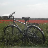 cf_poppyfield_bike