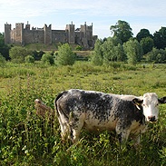 si_framlingham_castle