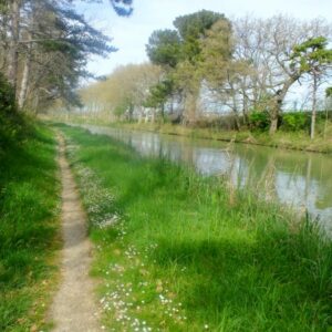 Canal du Midi towpath near Homps in France is ideal for cycling.