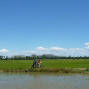 Cycle tours Costa Brava - cycling by the rice fields near Pals, Catalonia Spain