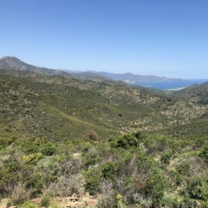 View of Roses Bay in Catalonia Spain