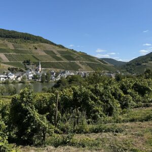 Cochem MOSELLE CYCLE PATH