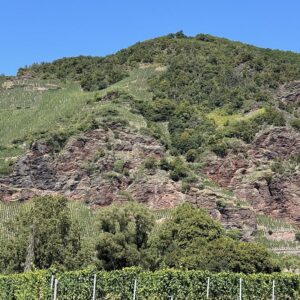 Trarbach MOSELLE CYCLE PATH